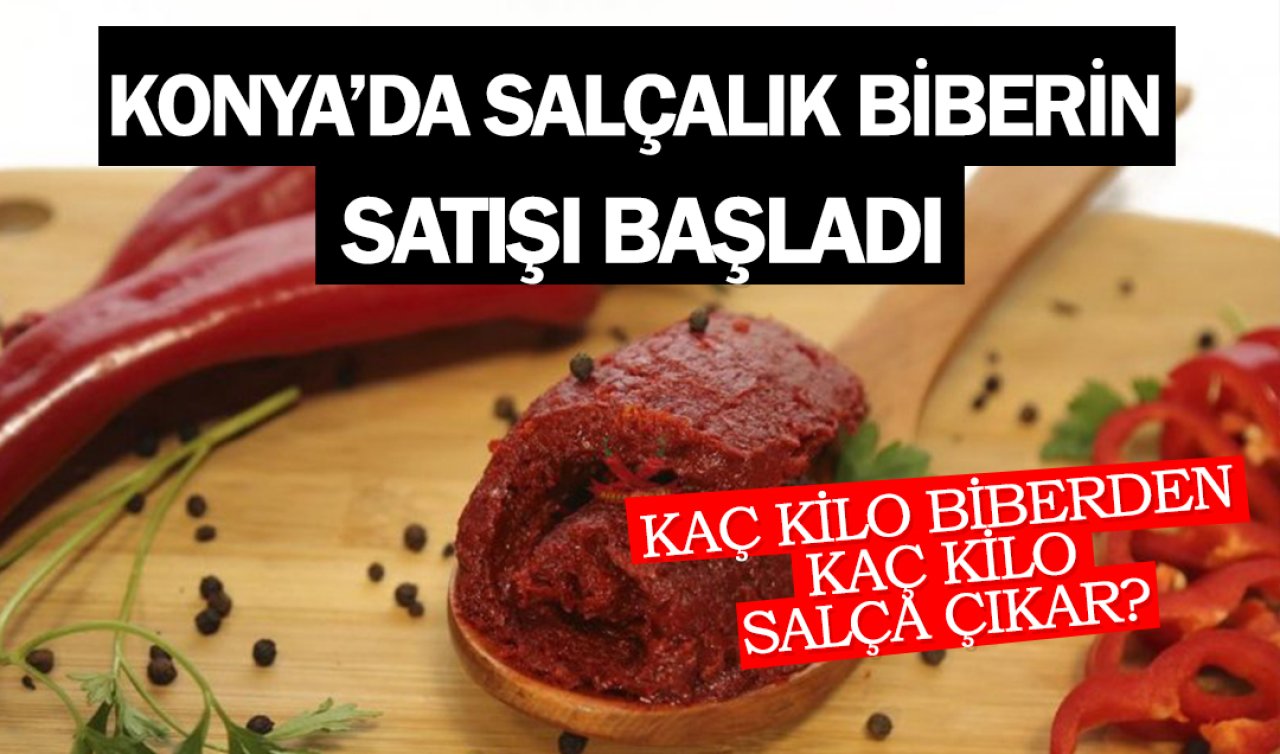 Konya’da salçalık biber satışı başladı! Kaç kilo biberden kaç kilo salça çıkar?