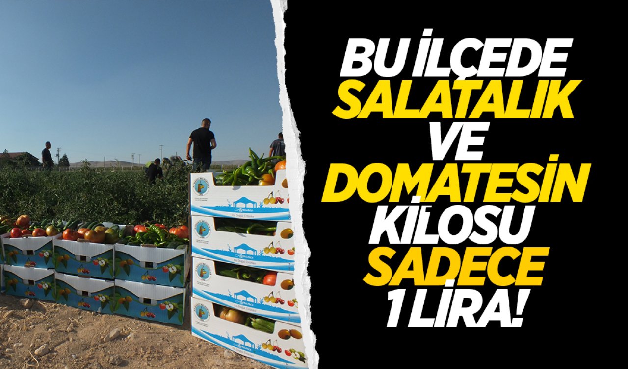  Bu ilçede salatalık ve domatesin kilosu sadece 1 lira