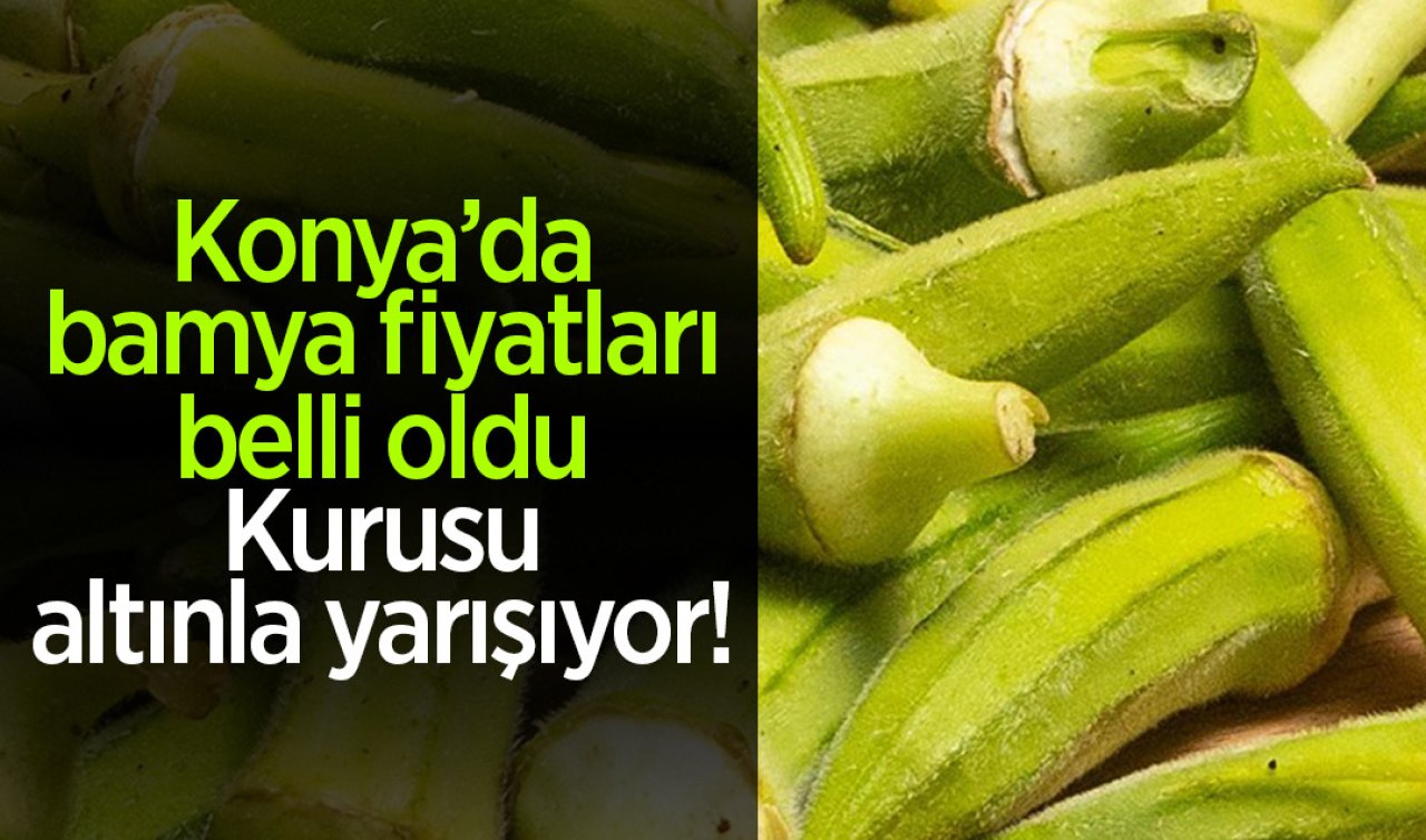 Konya’da bamya fiyatı belli oldu! Kendisi küçük parası büyük