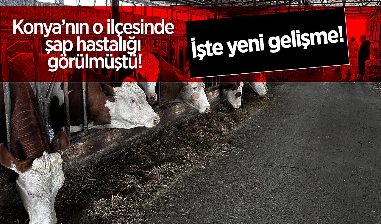 Konya’nın o ilçesinde şap hastalığı görülmüştü! İşte yeni gelişme