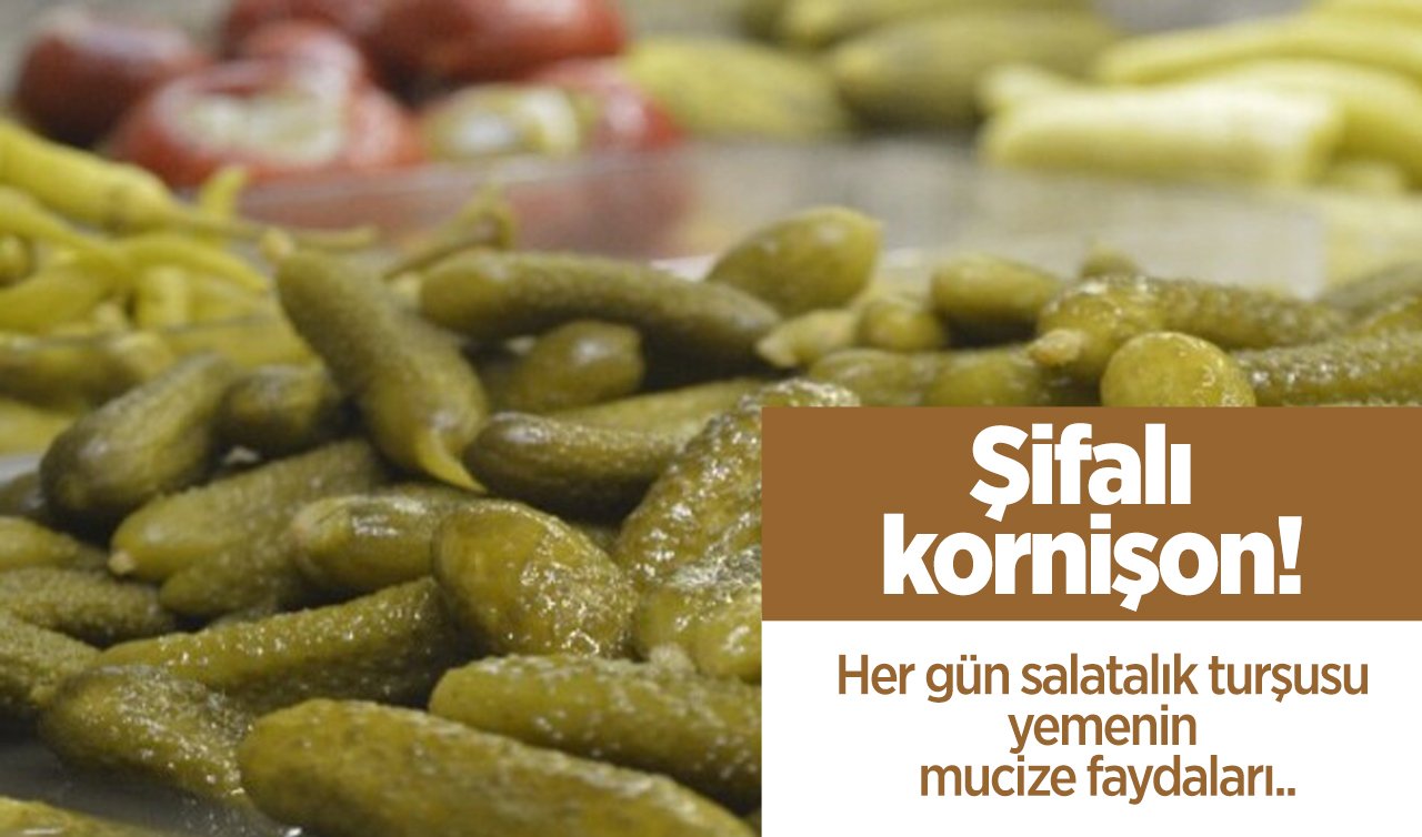  Şifalı kornişon! Her gün salatalık turşusu yemenin mucize faydaları..