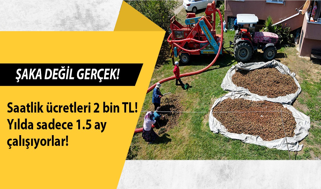  ŞAKA DEĞİL GERÇEK! Saatlik ücretleri 2 bin TL! Yılda sadece 1.5 ay çalışıyorlar