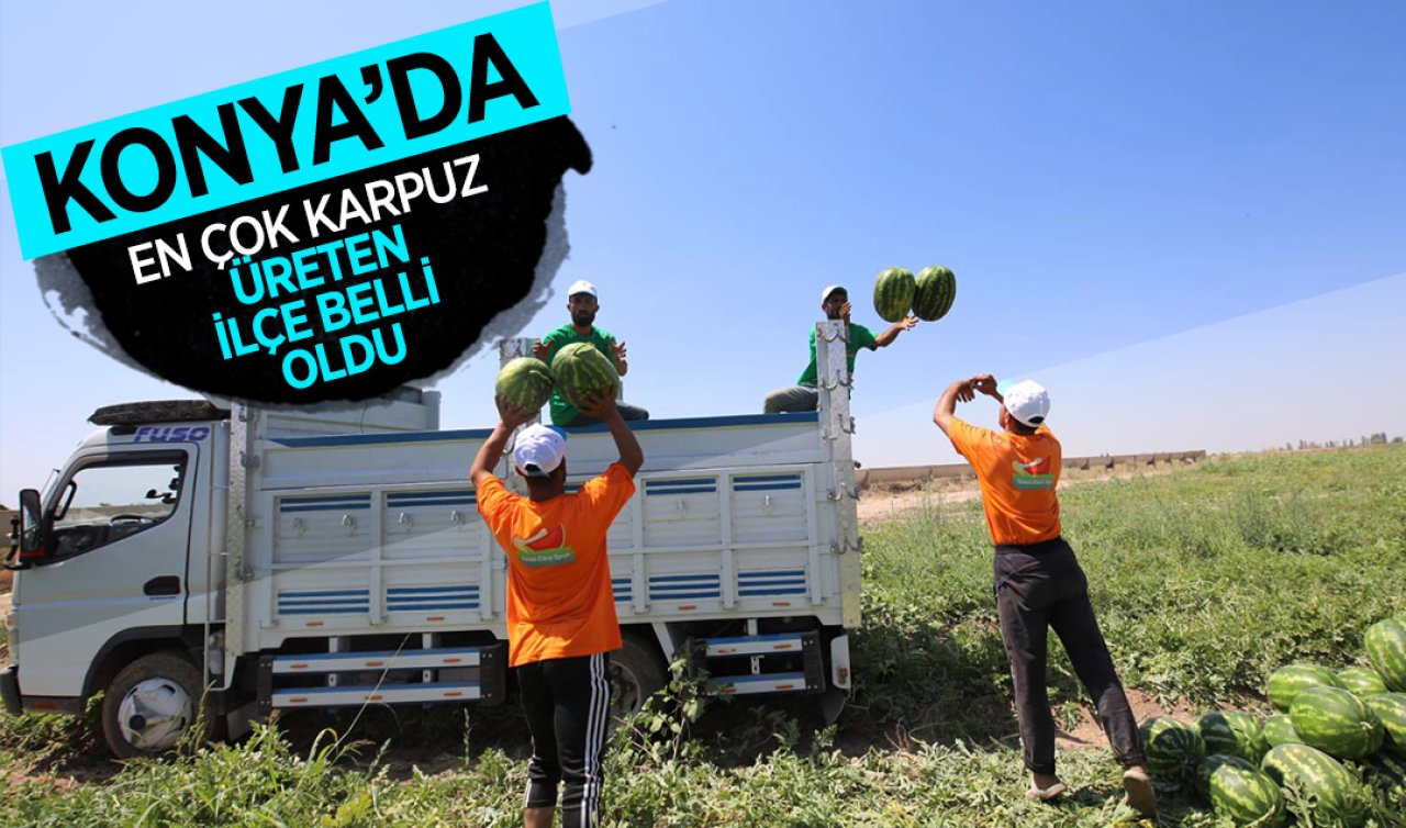 Konya’da en çok karpuz üreten ilçe belli oldu!