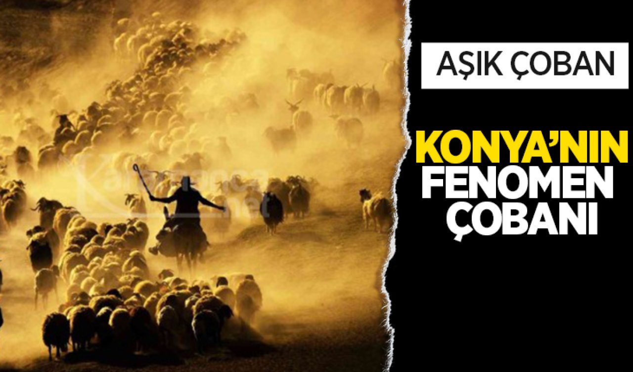 Konya’nın fenomen çobanı! Lakabı “Aşık çoban’’