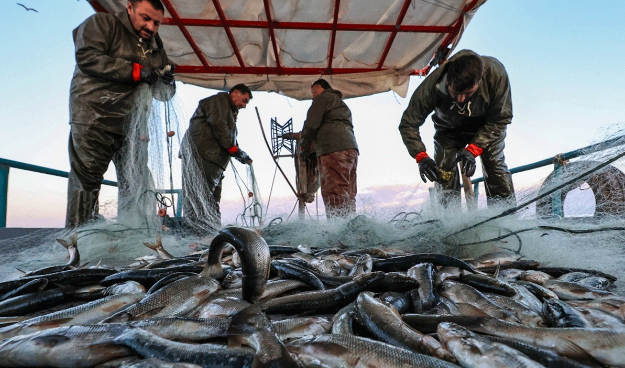 Balık sezonu açıldı! Balıkçılar “vira bismillah’’ diyerek denize açıldı