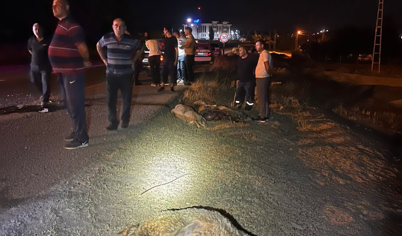 Otomobil sürüye çarptı: 4 kişi yaralandı 7 koyun telef oldu!
