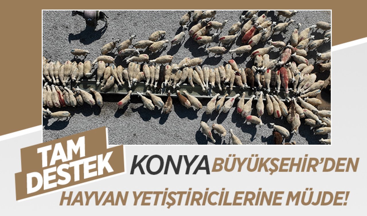 Konya Büyükşehir’den 31 ilçede hayvan yetiştiricilerine tam destek!