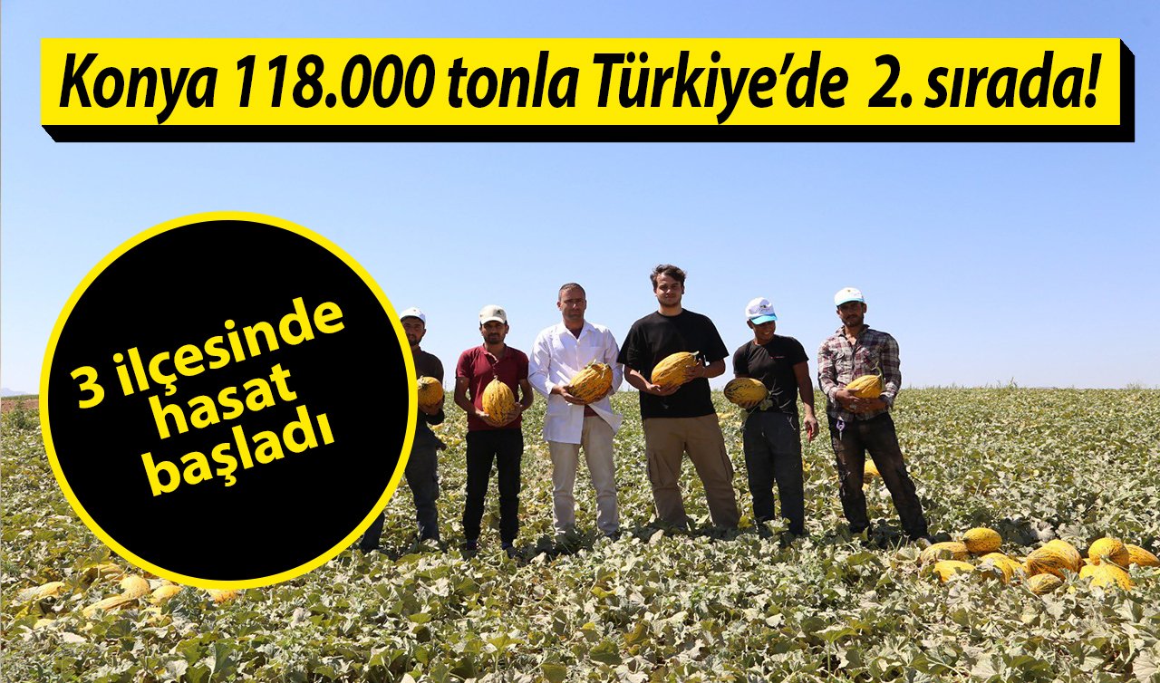 Başkan Altay duyurdu! Konya 118.000 tonla Türkiye’de  2. sırada!  3 ilçesinde hasat başladı  