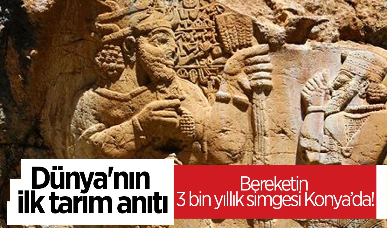 Dünya’nın ilk tarım anıtı: Bereketin 3 bin yıllık simgesi Konya’da!