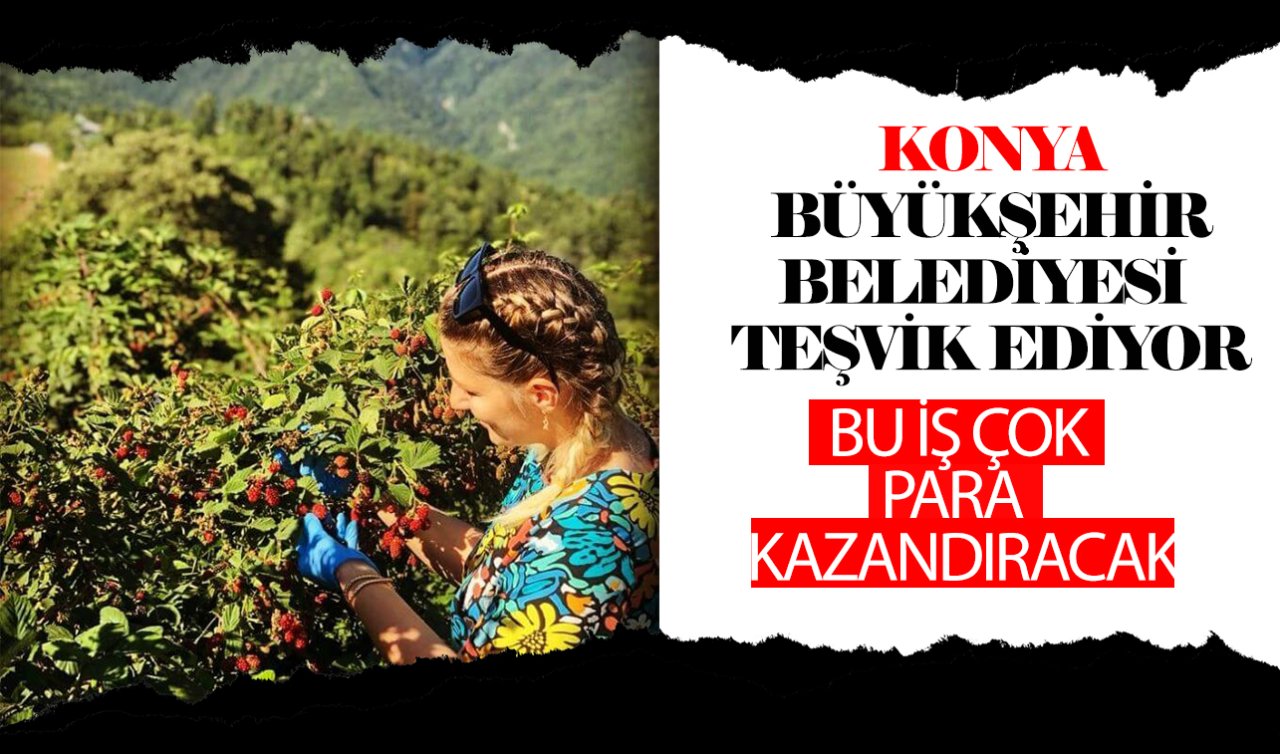 Konya Büyükşehir Belediyesi teşvik ediyor: Bu iş çok para kazandırıyor