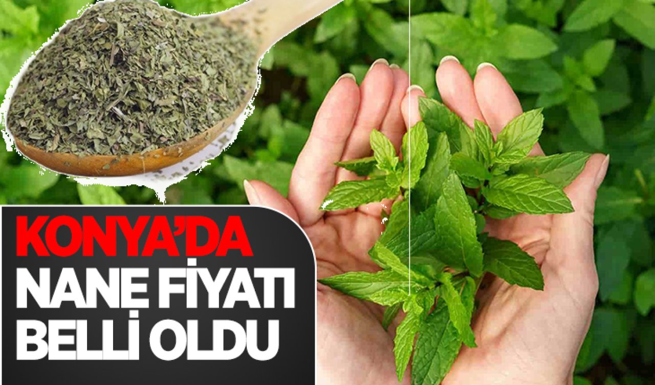 Konya’da nane fiyatı belli oldu!