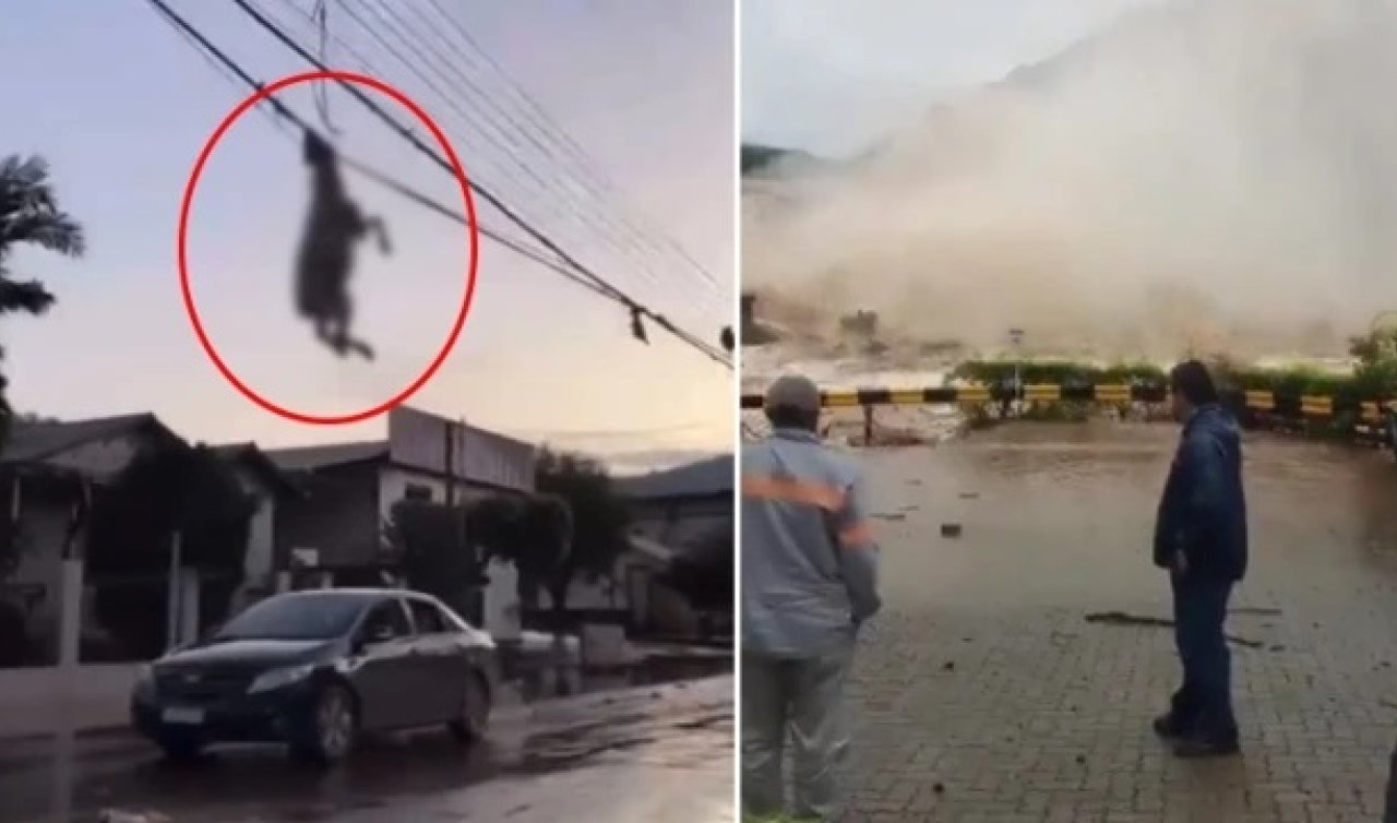 Görülmemiş felaket! Ölenlerin sayısı 28’e yükseldi! Çok sayıda hayvan telef oldu