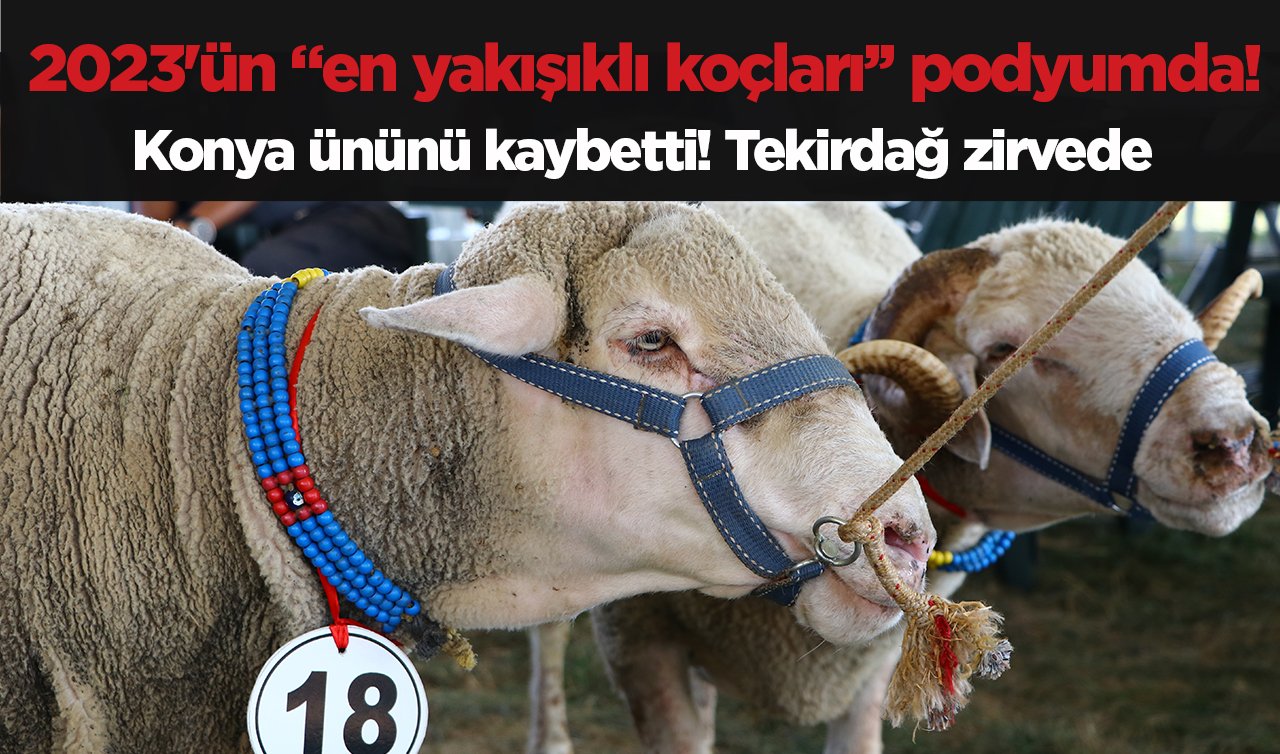 2023’ün en yakışıklı koçları podyumda! Konya ününü kaybetti! Tekirdağ zirvede