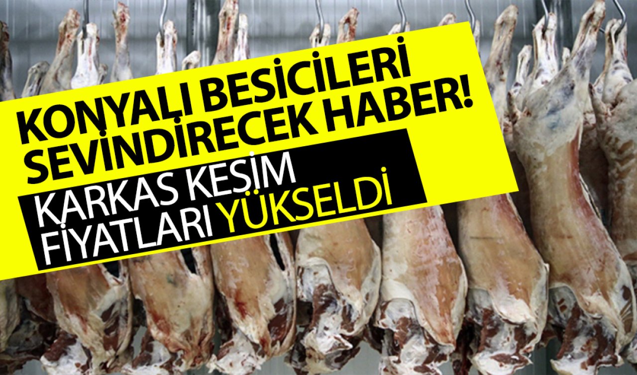 Konyalı besicileri sevindirecek haber! Karkas kesim fiyatları yükseldi