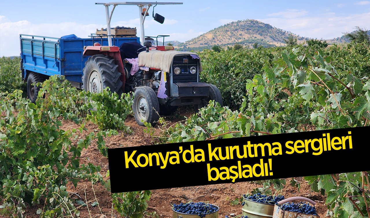  Konya’da kurutma sergileri başladı! 
