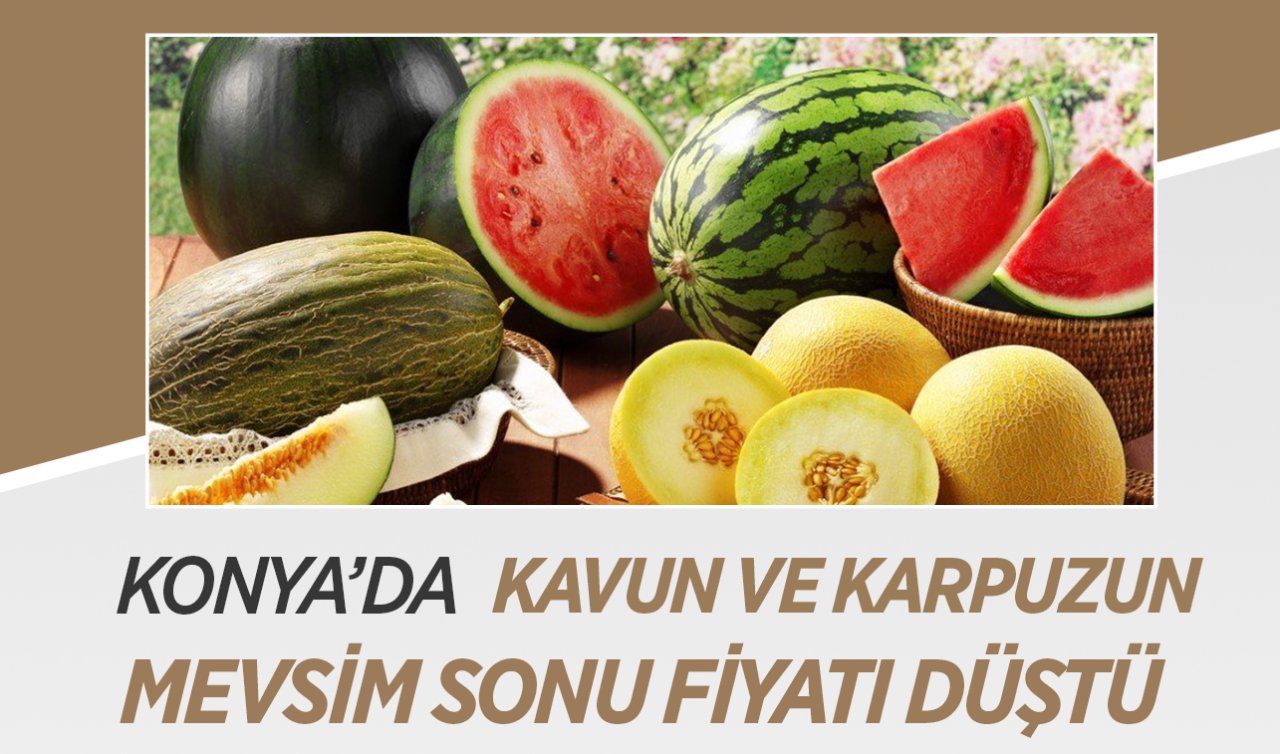 Konya’da kavun ve karpuzun mevsim sonu fiyatı belli oldu!