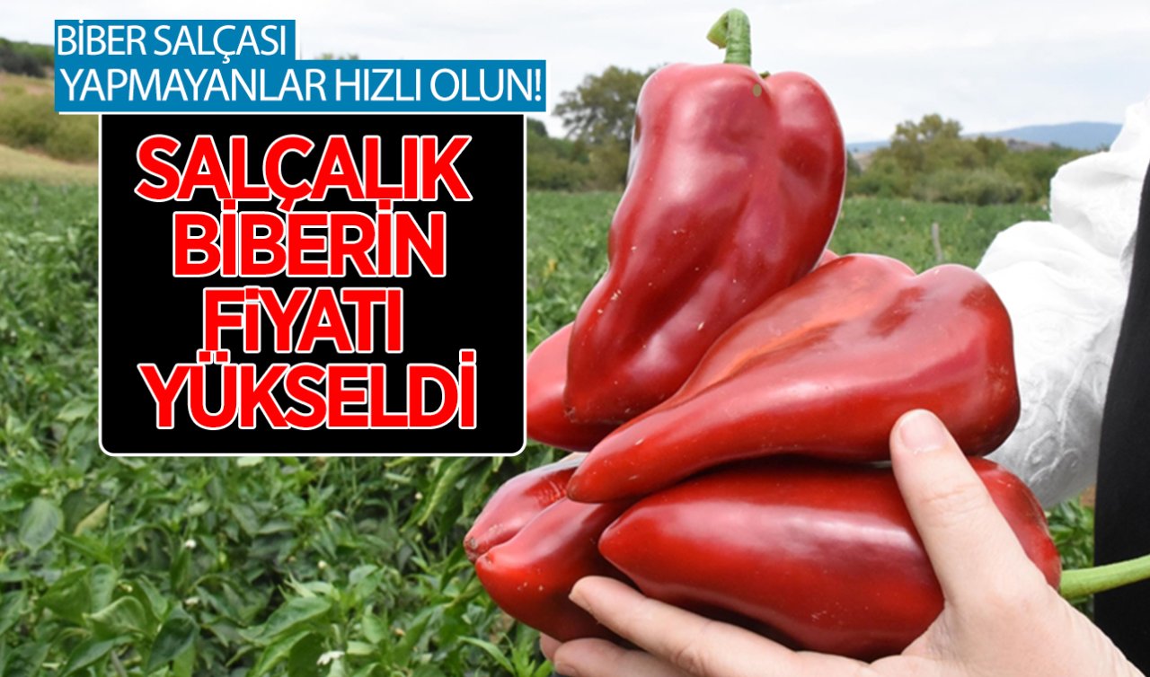 Biber salçası yapmayanlar dikkat! Salçalık biberin fiyatı yükseldi
