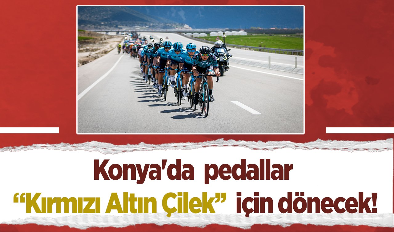 Konya’da  pedallar Kırmızı Altın Çilek  için dönecek!