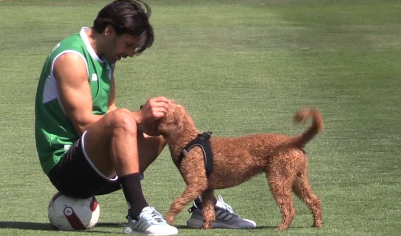 Muhammet Demir sahalara köpeği Badem ile dönüyor!