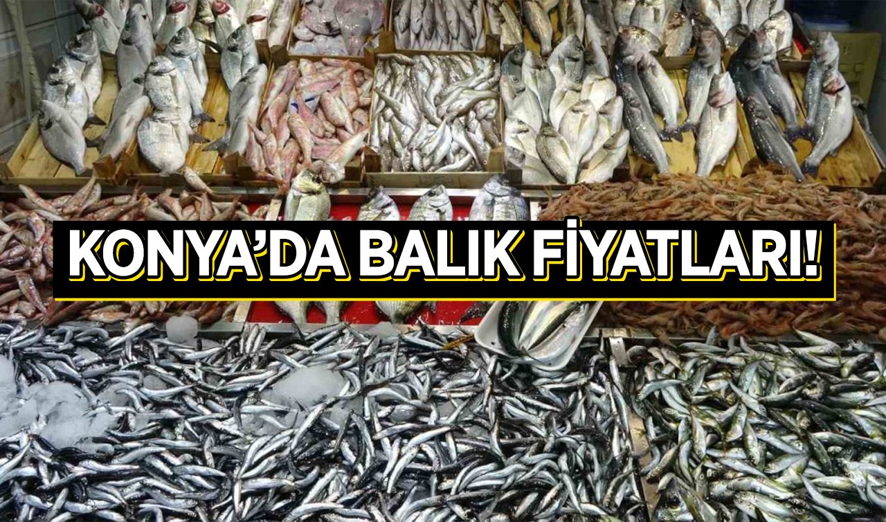 Konya’da balık fiyatları! Hamsi kaç TL?