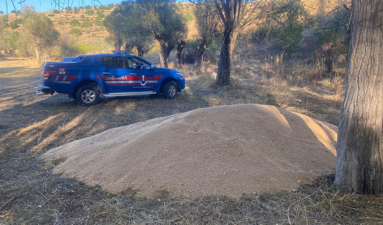 Boş araziye bırakılmış 3 ton buğday bulundu
