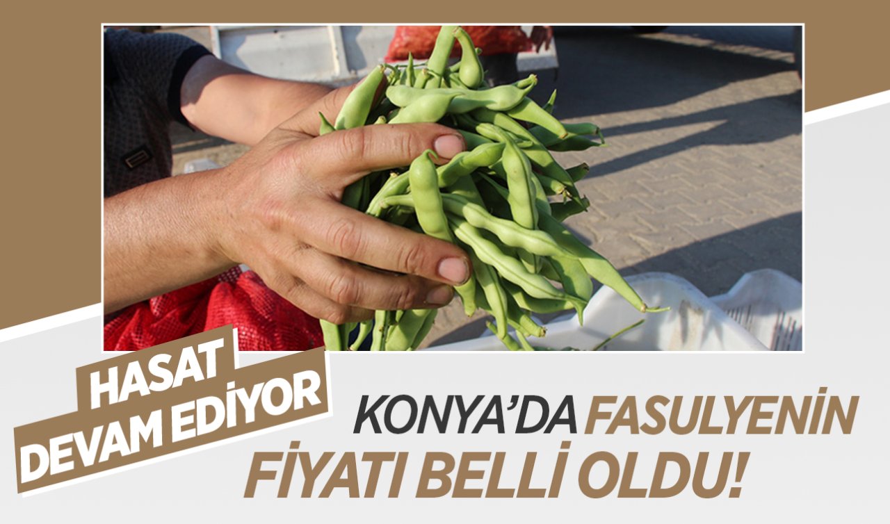 Konya’da fasulyenin kilosu belli oldu