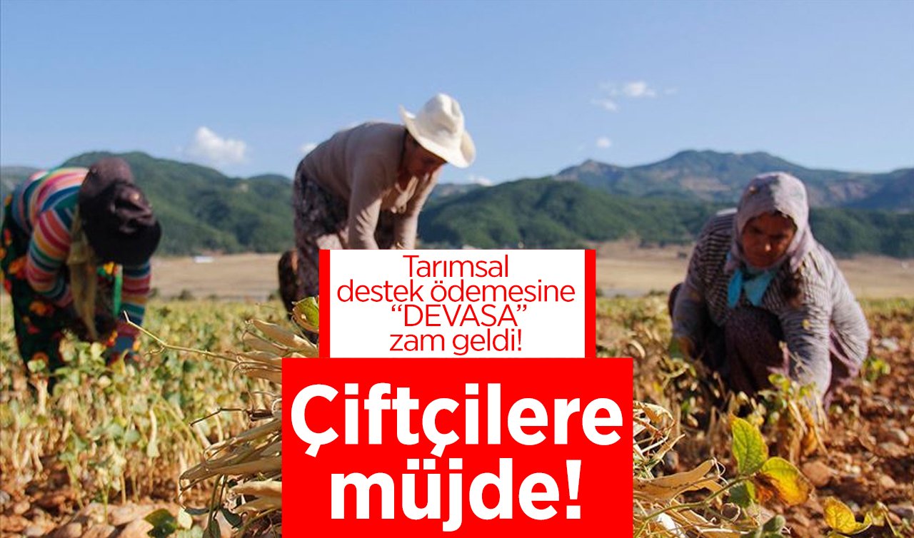 Çiftçilere müjde! Tarımsal destek ödemesine devasa zam geldi! Buğday destek fiyatı arttı..