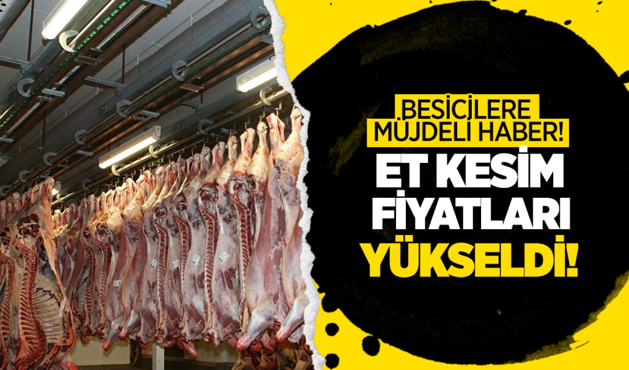 Besicilere müjdeli haber geldi! Et kesim fiyatı yükseldi