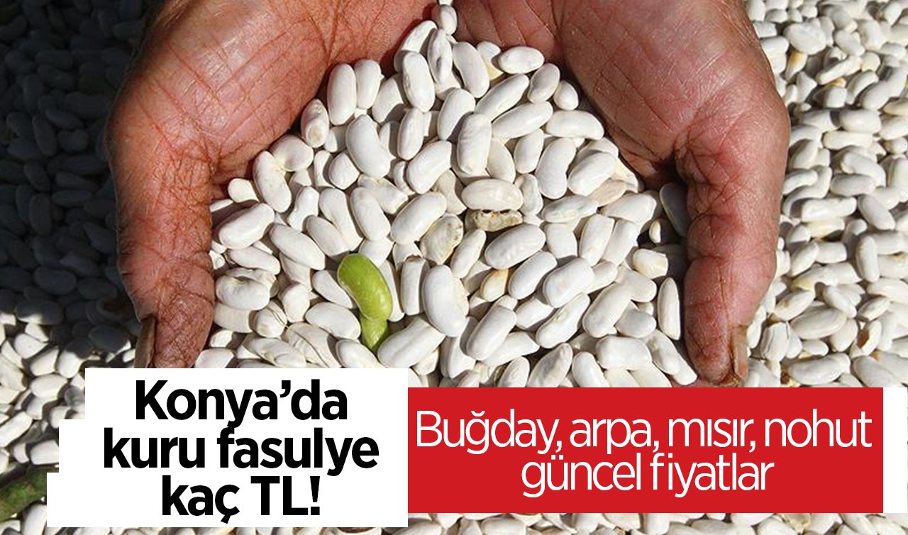 Konya’da kuru fasulye kaç TL! Buğday, arpa, mısır, nohut güncel fiyatlar