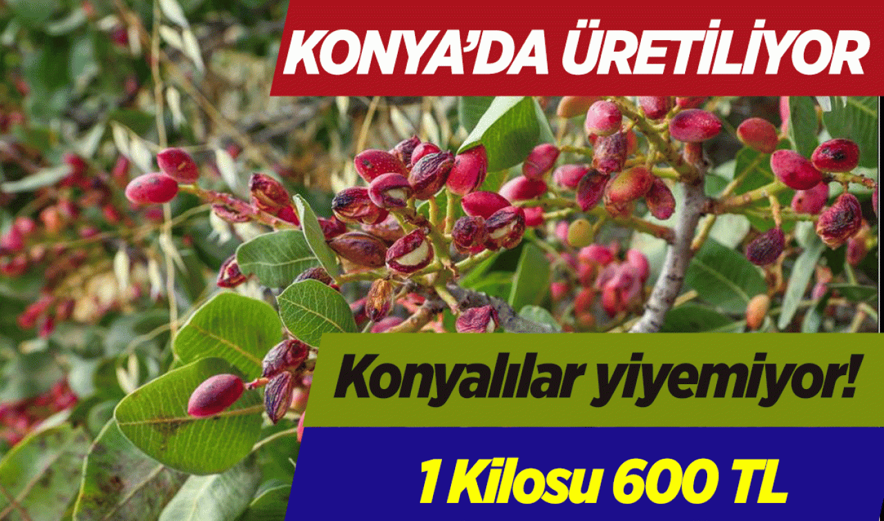 Konya’da yetişiyor Konyalılar yiyemiyor! 1 Kilosu 600 TL