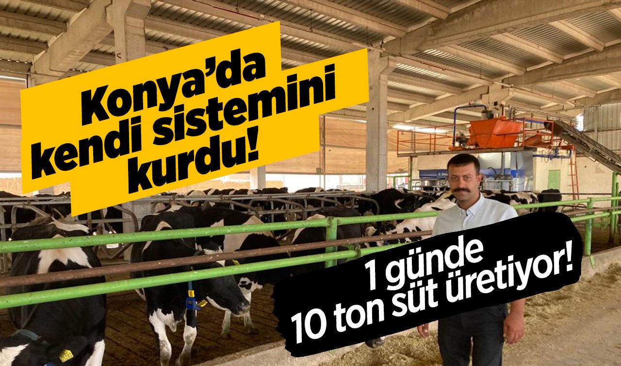 Konya’da kendi sistemini kurdu! 1 günde 10 ton süt üretiyor!  “Süte kesinlikle temas olmuyor’’