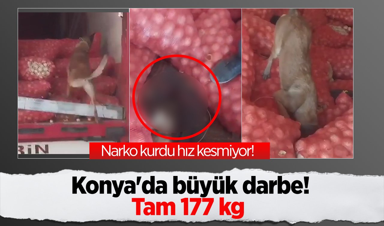 Narko kurdu hız kesmiyor! Konya’da büyük darbe! Tam 177 kg ele geçirildi