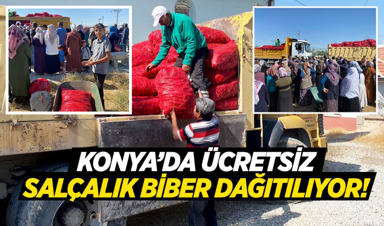 Konya’da farklı bir proje! Ücretsiz salçalık biber dağıtılıyor