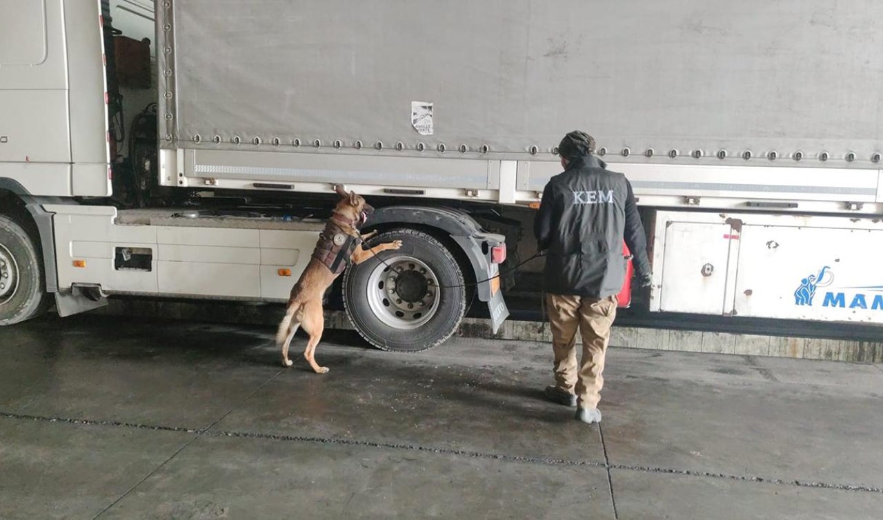 Bir tırda 24 kilo uyuşturucu bulundu