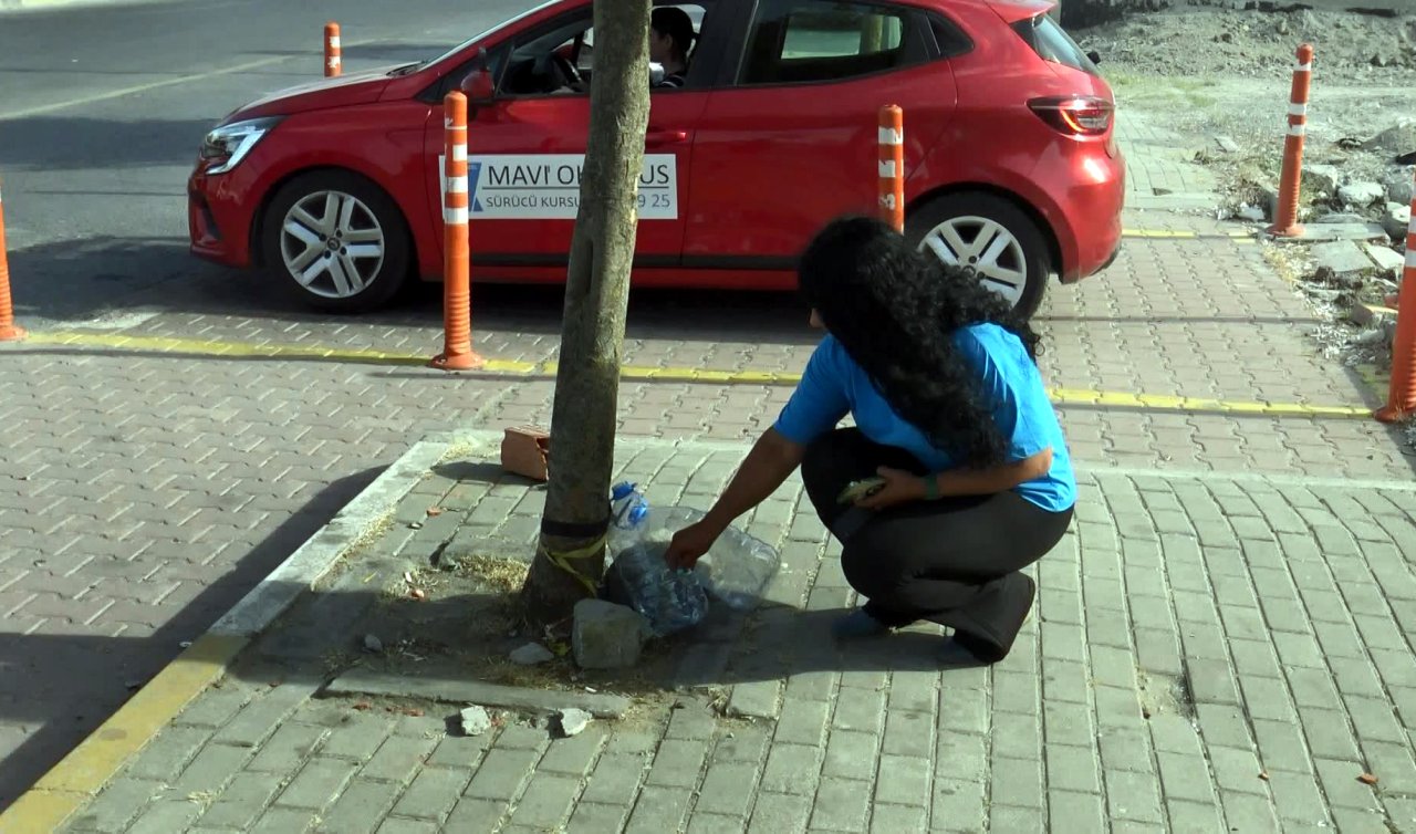 Sokak ortasında vahşet! Hayvanları kesici aletle öldürüldü 