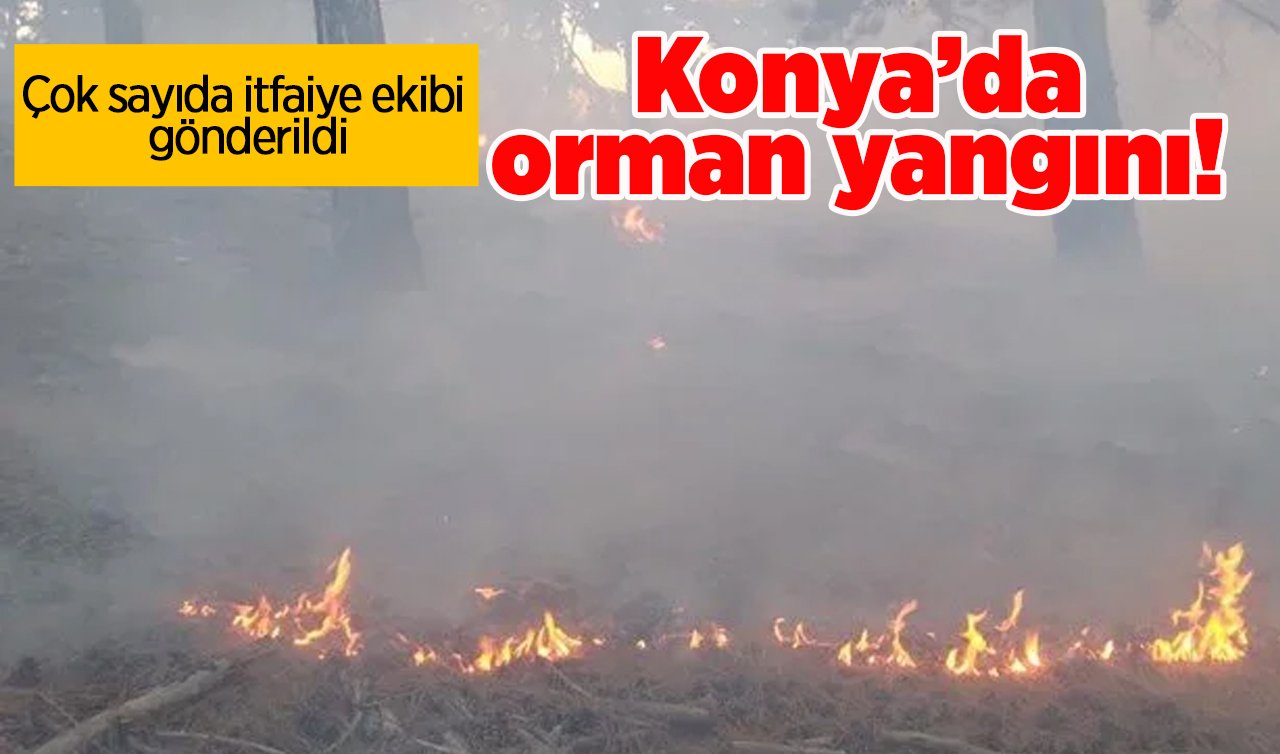 Son DAKİKA: Konya’da orman yangını!  Çok sayıda itfaiye ekibi gönderildi