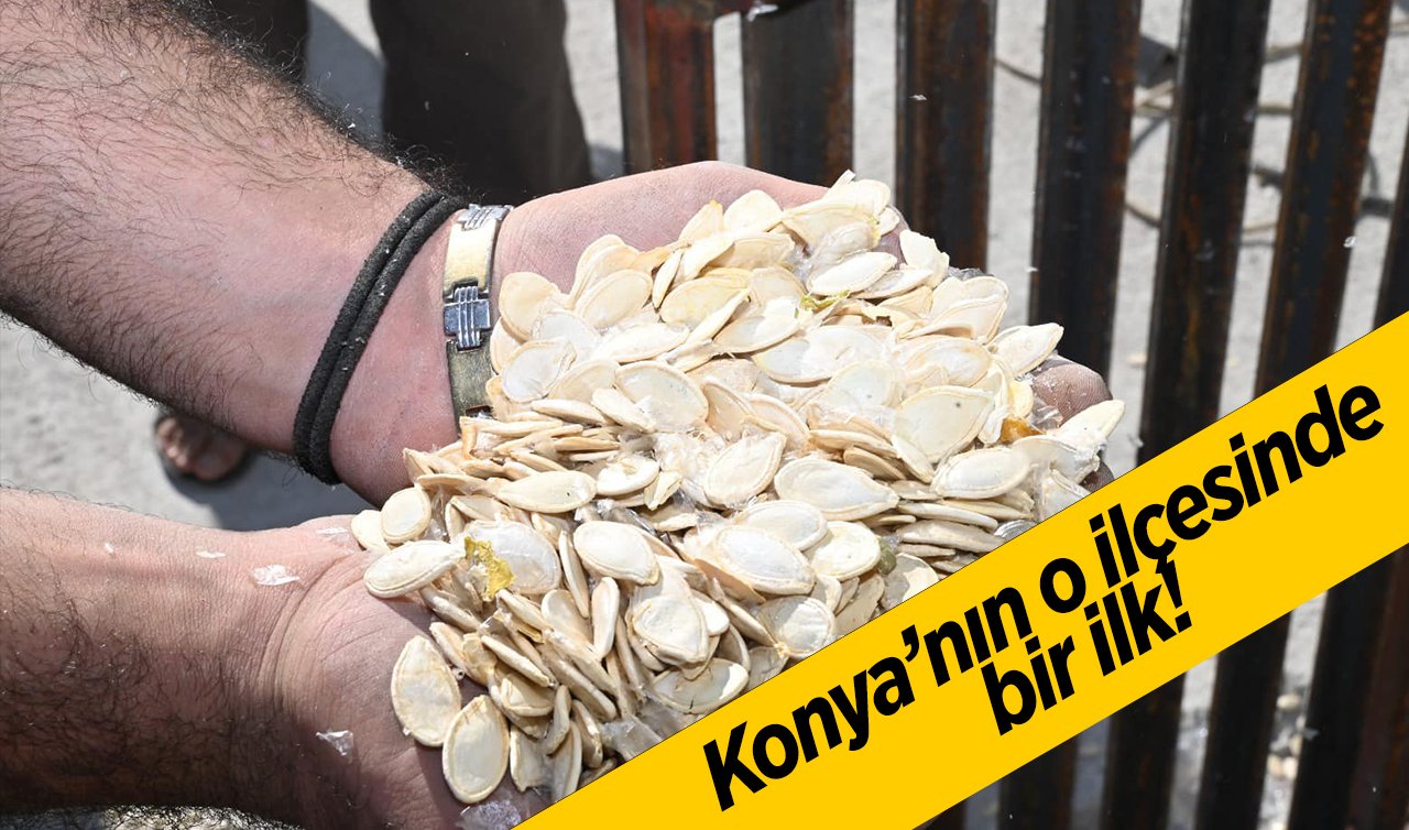Konya’nın o ilçesinde bir ilk! 7 bin 480 metrekarelik alanda hizmet başladı
