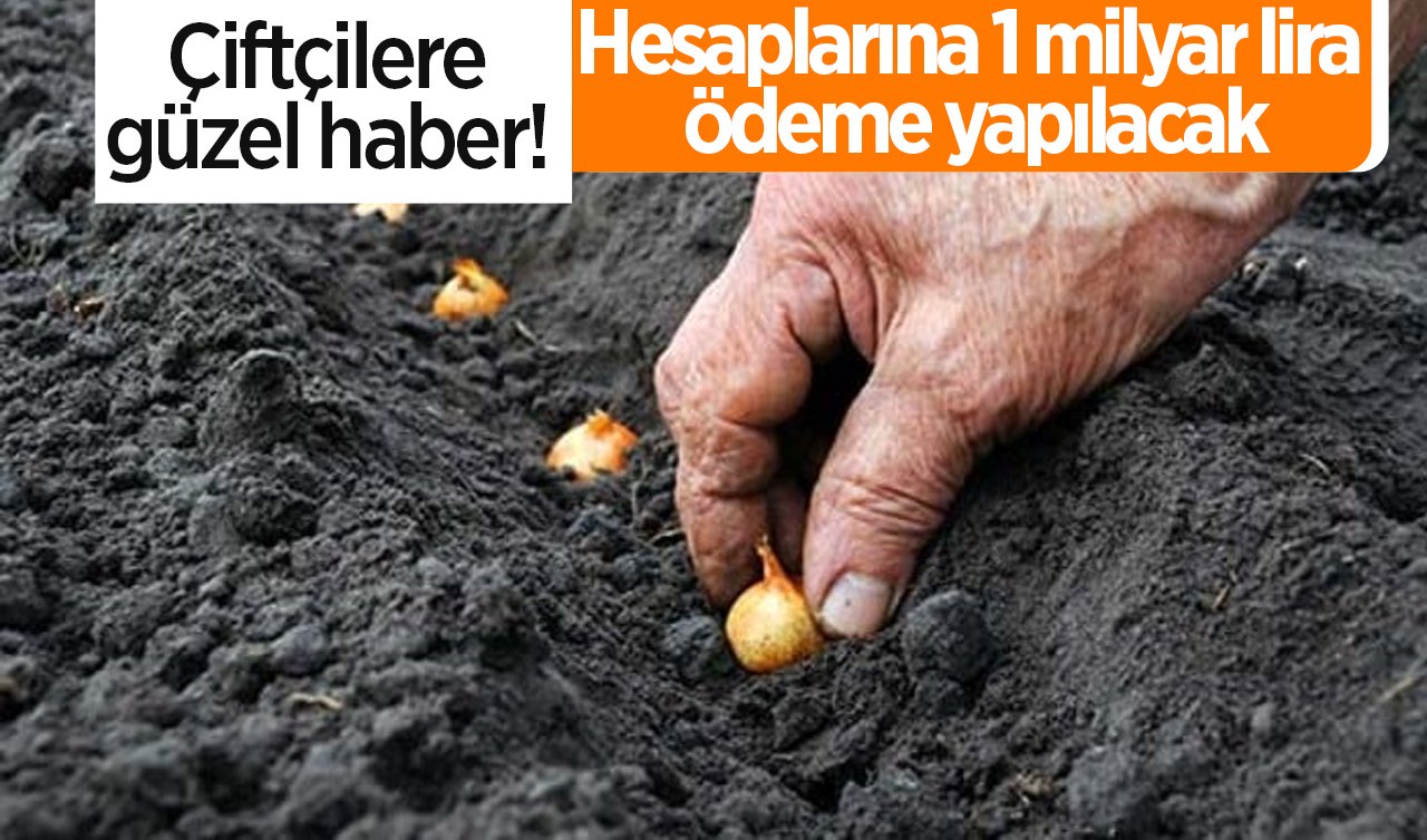 Çiftçilere güzel haber! Hesaplarına 1 milyar lira ödeme yapılacak