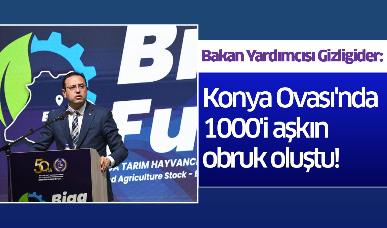 Bakan Yardımcısı Gizligider: Konya Ovası’nda 1000’i aşkın obruk oluştu!