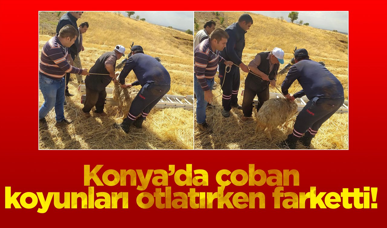 Konya’da çoban koyunları otlatırken farketti! İtfaiye ekipleri zorlukla kurtardı