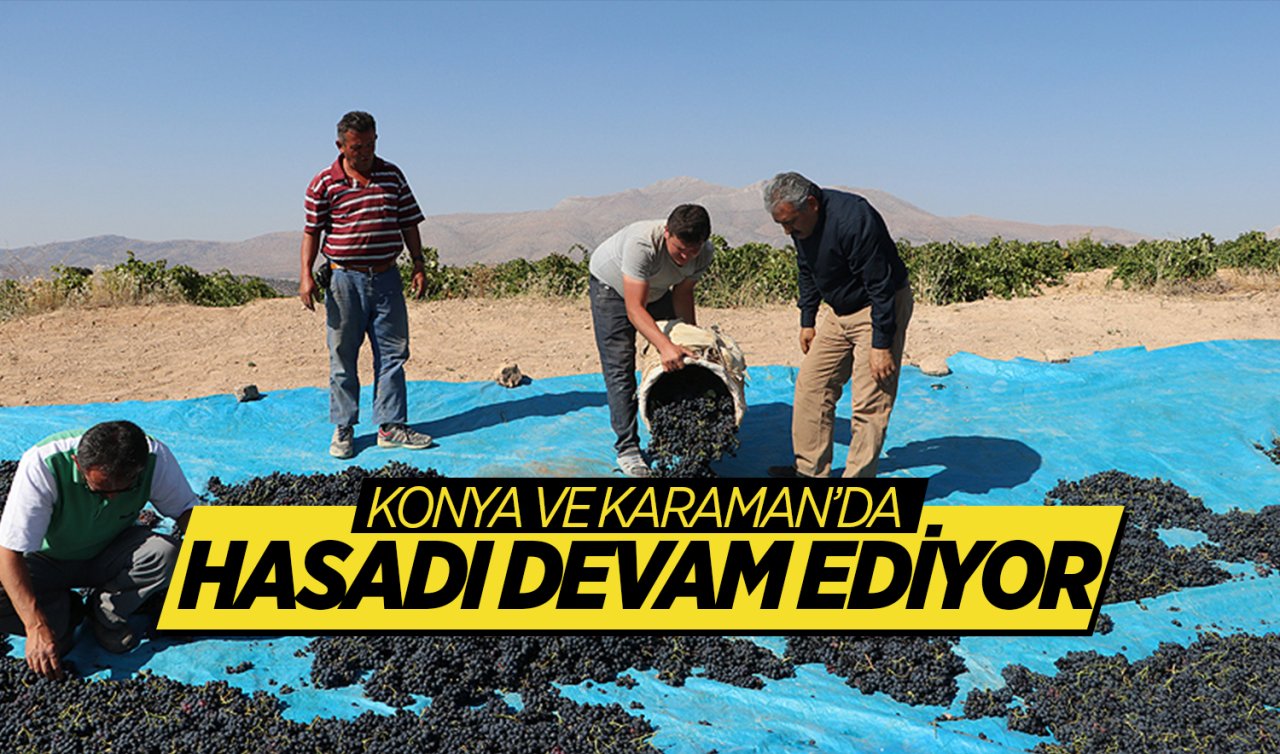 Konya’da kara elmasın fiyatı belli oldu!