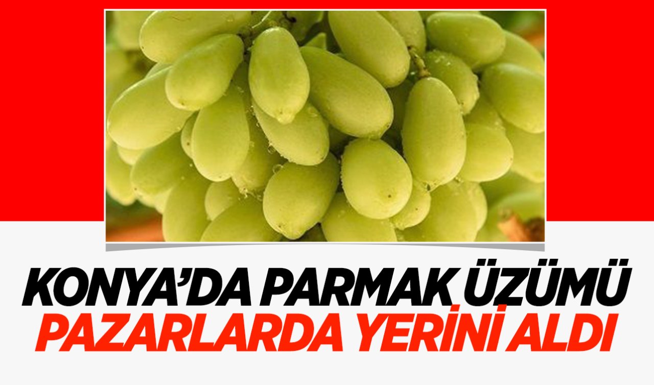 Konya’da parmak üzümün pazar fiyatı belli oldu!