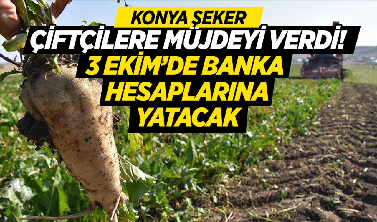 Konya Şeker’in çiftçilere ödeyeceği fiyat belli oldu!
