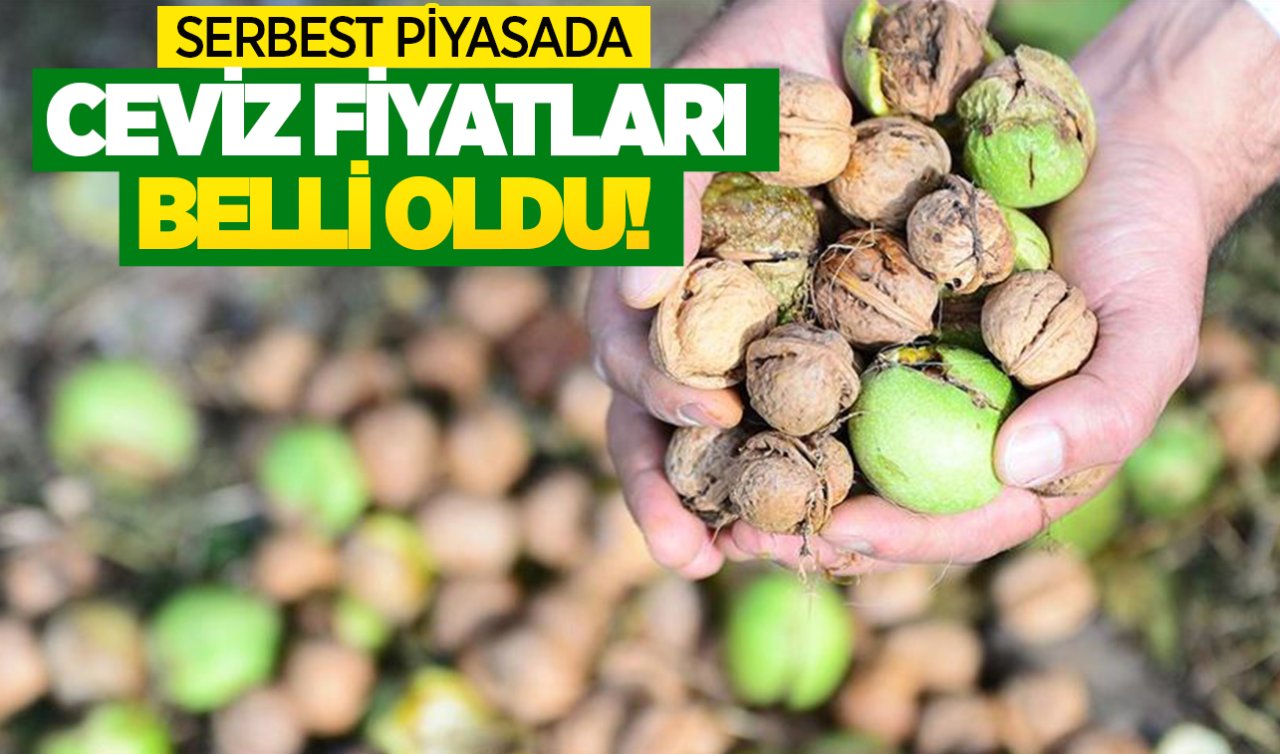 Serbest piyasada ceviz fiyatları ne kadar? Konya’da ceviz fiyatları belli oldu!