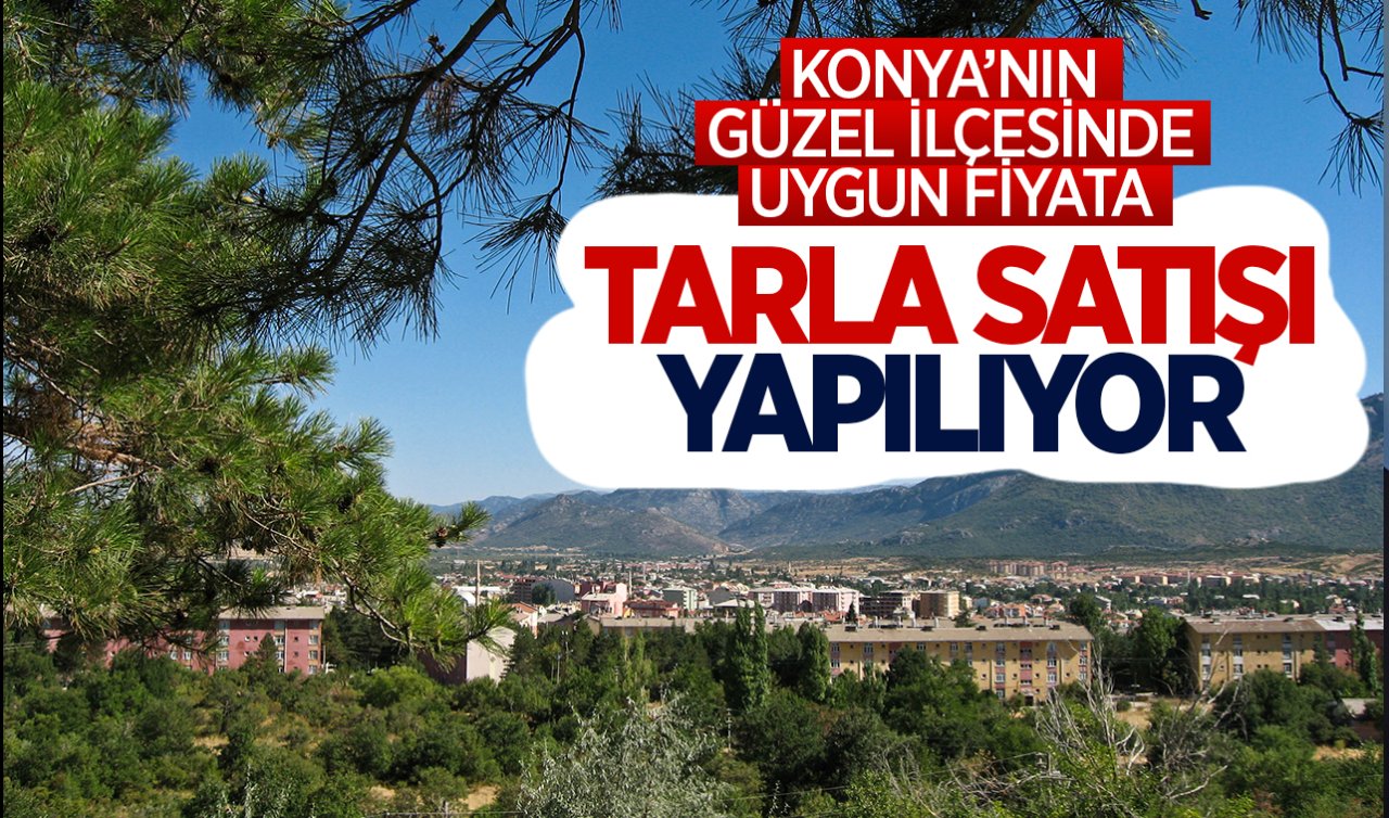 Konya’nın güzel ilçesinde uygun fiyata tarla satışı yapılıyor! 22 Mahalledeki 342 tarla düğün salonunda satılacak 