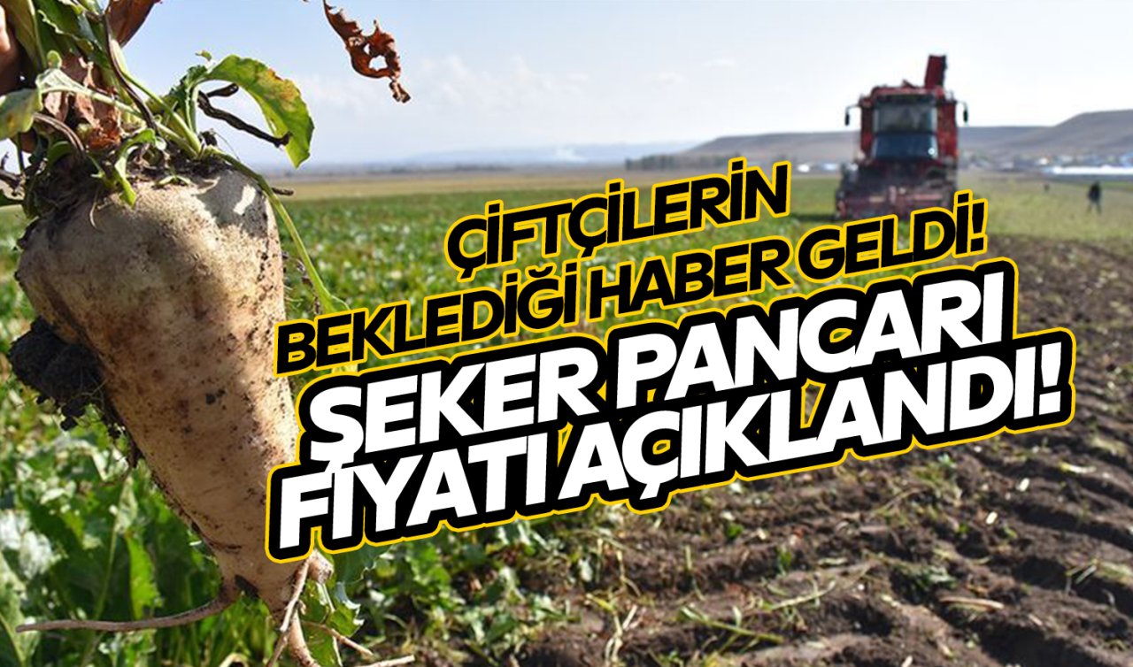Tarım Bakanı şeker pancarının alım fiyatını açıkladı!