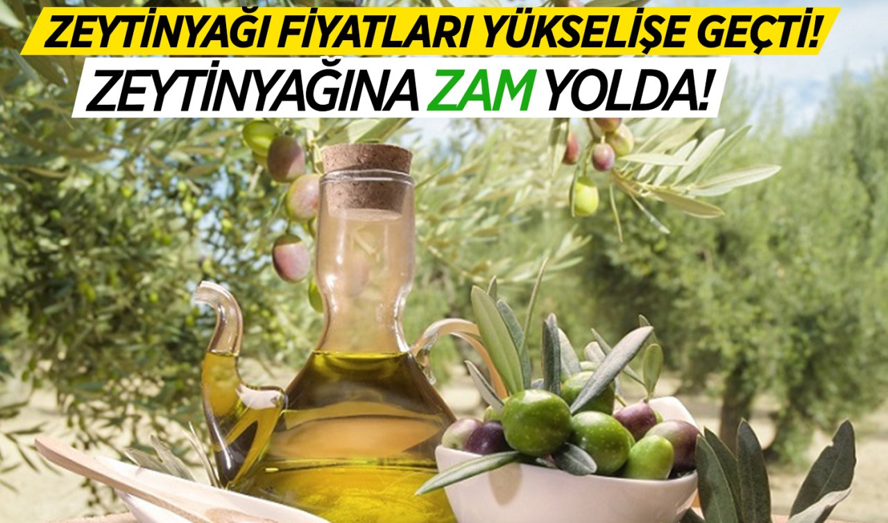 Zeytinyağı fiyatları uçuşa geçti! Serbest piyasada zeytinyağı fiyatları ne kadar?