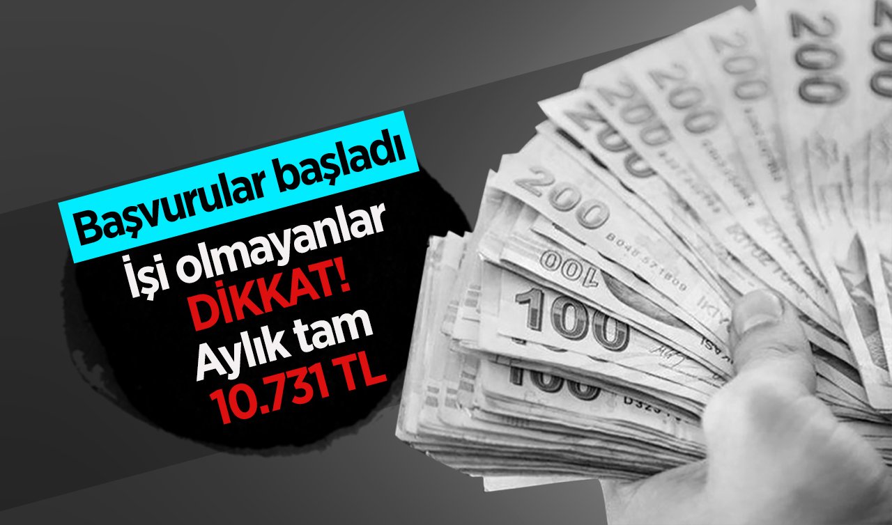 İş arayanlar DİKKAT! Aylık tam 10.731 TL.. Başvurular başladı 