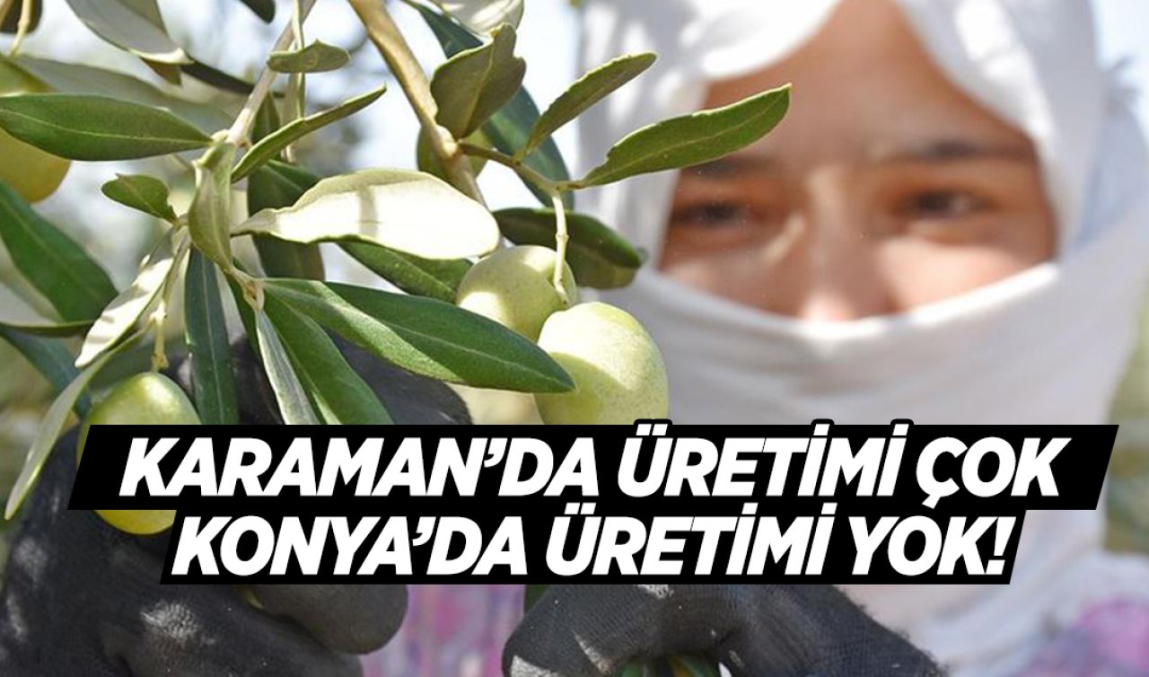 Karaman’da 11 köyde yetişiyor ama Konya’da yetiştirilmeye uygun değil!