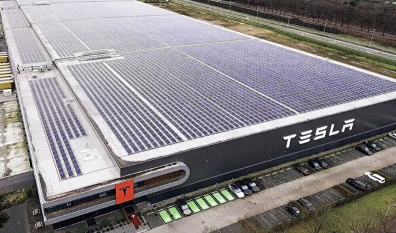 O ildekiler komşuyuz diye hava atacak! Elon Musk arsa bakıyor
